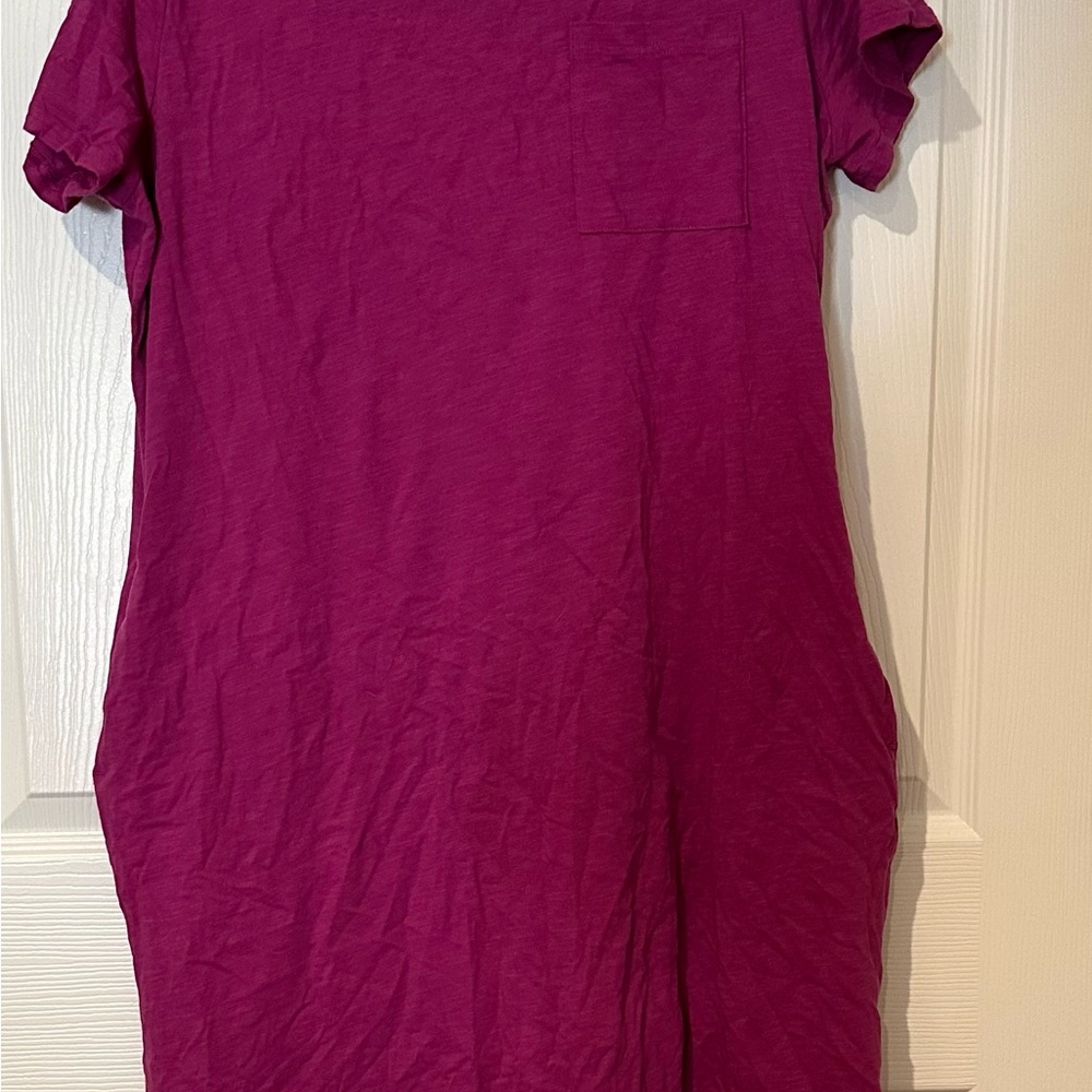 Terra & Sky Rich Purple Mini Dress
